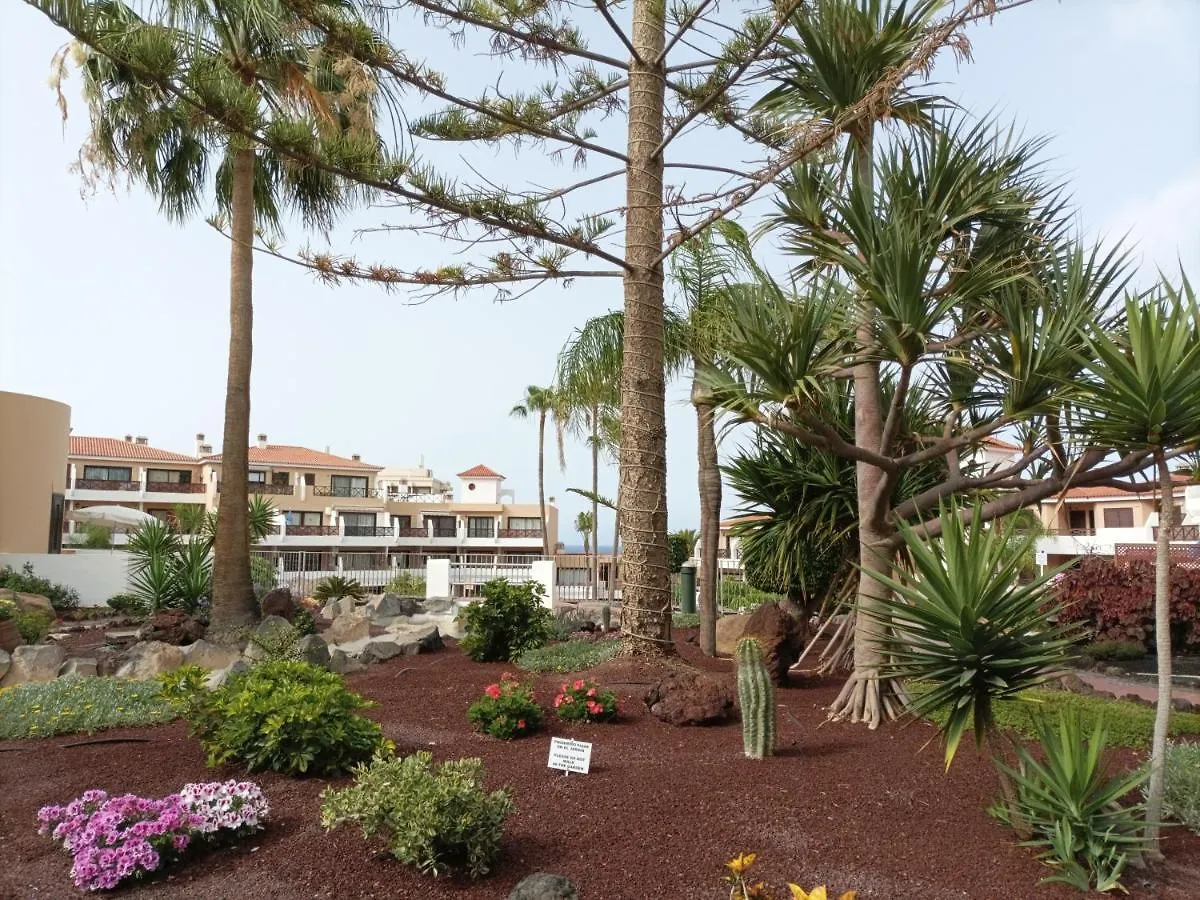 Estudio en Tenerife con piscina / Study flat with pool Apartamento San Miguel de Abona